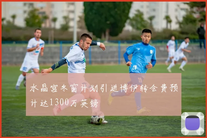 水晶宫冬窗计划引进博伊转会费预计达1300万英镑
