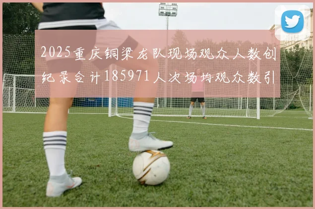 2025重庆铜梁龙队现场观众人数创纪录合计185971人次场均观众数引发热议