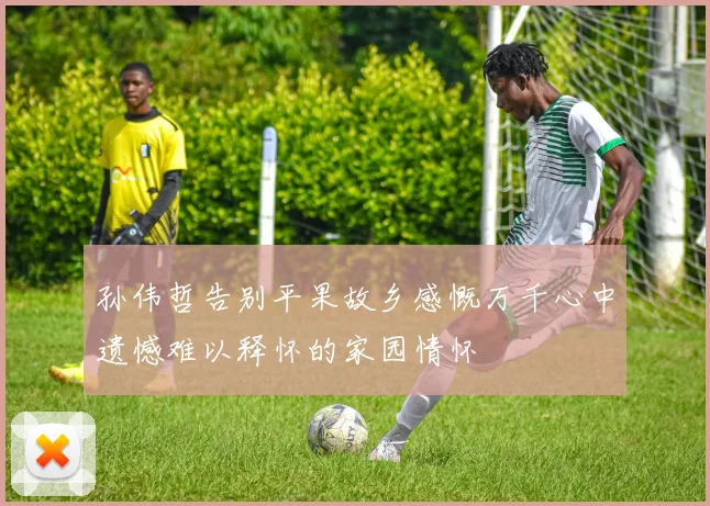 孙伟哲告别平果故乡感慨万千心中遗憾难以释怀的家园情怀