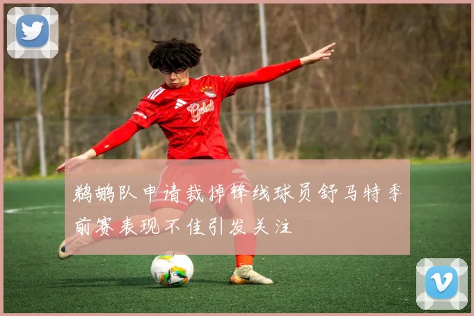 鹈鹕队申请裁掉锋线球员舒马特季前赛表现不佳引发关注