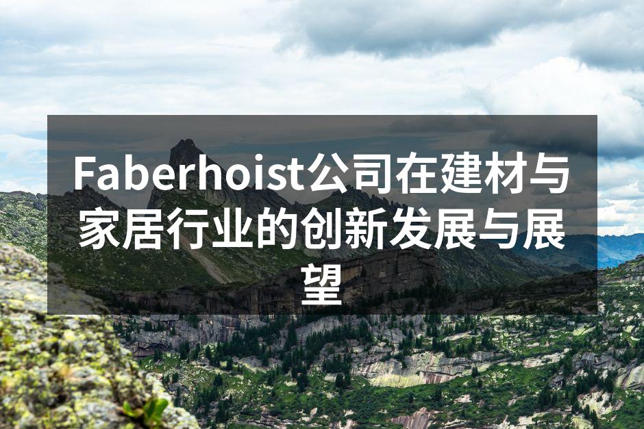 Faberhoist公司在建材与家居行业的创新发展与展望