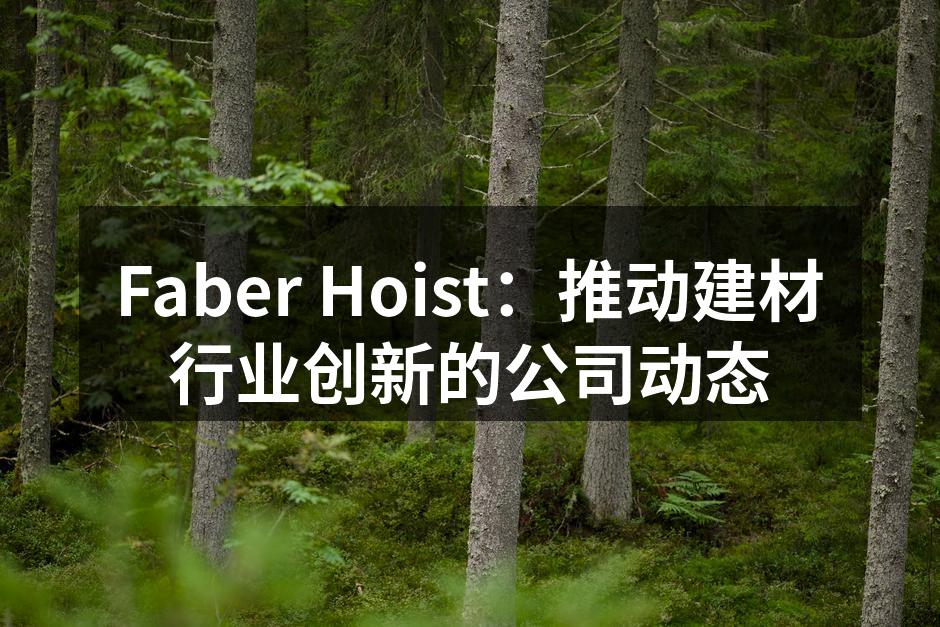 Faber Hoist：推动建材行业创新的公司动态